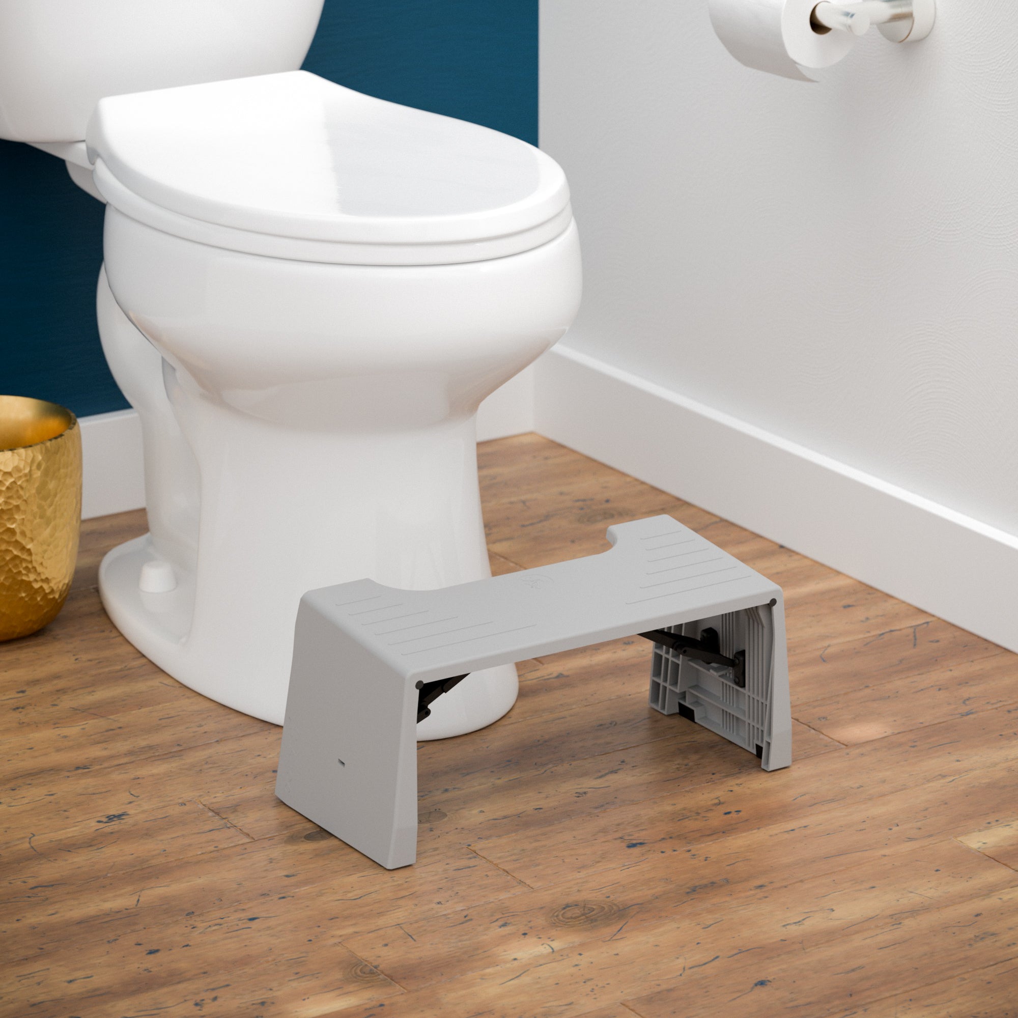 Travel Porta Squatty® (Copy)